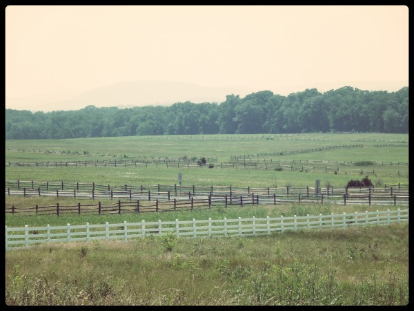 Gettysburg Battlefield