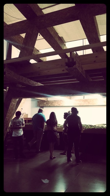 A Demo Space of the Up and Coming Ark Encounter