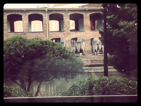 Wedding Across the Street