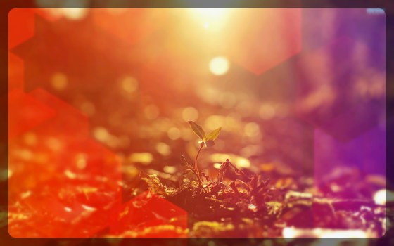 The Ending Without an End