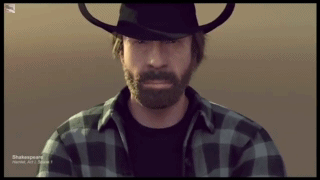 Chuck Norris Gif 1.gif